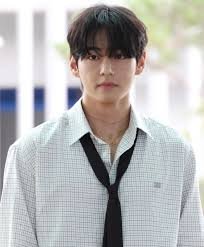 V (Kim Taehyung) Profile