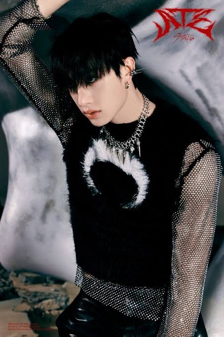 Bang Chan Profile