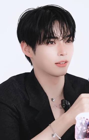 Sung Han-bin - Wikipedia