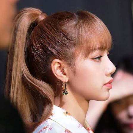 Lisa side profile