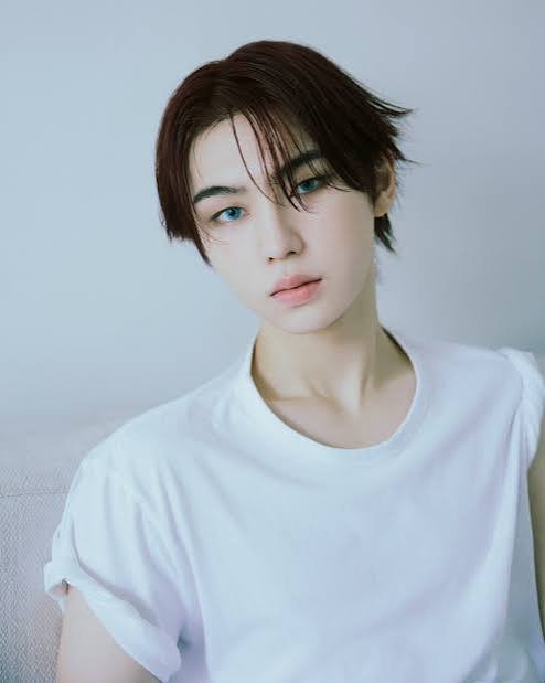 Kim Taeyang (김태양) Profile