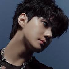 Sehun (세훈) Profile