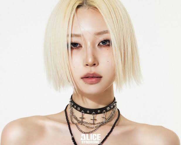 Alice Syndrome Members Profile (Updated!) - Kpop Profiles