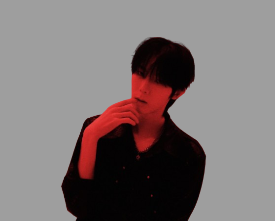 SAEINT Members Profile